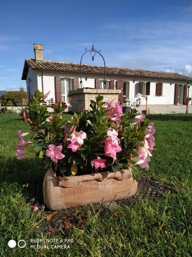 Agriturismo " Le Serre" Spello Exterior photo